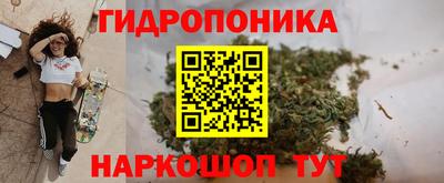 кокс Краснодар