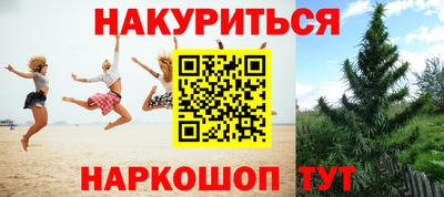 кокс Краснодар