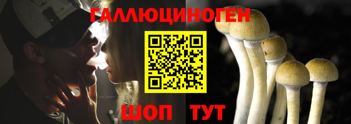 Южноуральск  Псилоцибиновые грибы прущие грибы  дарнет шоп  Галлюциногенные грибы Cubensis  Вход с VPN 